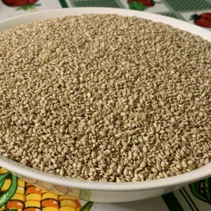Ajonjolí con cascara (kg)